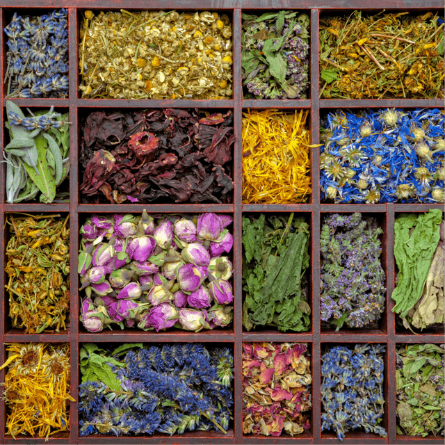 The Botanical Retreat at The Rose and Yarrow, LLC in Louisa, VA